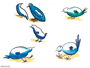 Oiseaux Six oiseaux bleus.