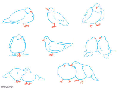 œuvres ; Onze pigeons bleus et oranges.