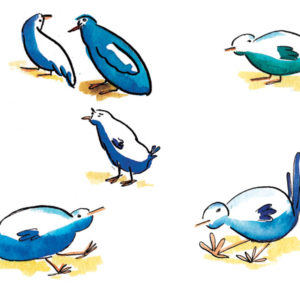 Six oiseaux bleus.