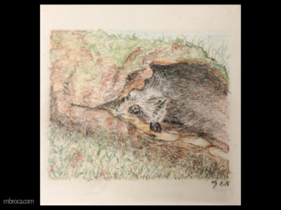 Céramique, un raton-laveur se cache dans un tronc d'arbre creux. On ne voit que sa tête et aussi une patte.