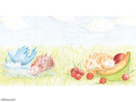 Publications, rouzig. Un cochon d'inde se baigne avec un oiseau, et un autre mange du melon.