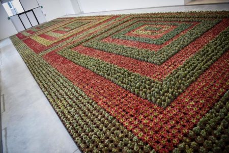 5 expositions 2018, des milliers de cactus verts et rouges qui forment un parterre.