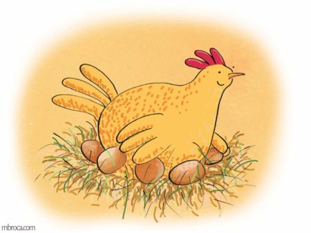 une poule qui couve des oeufs