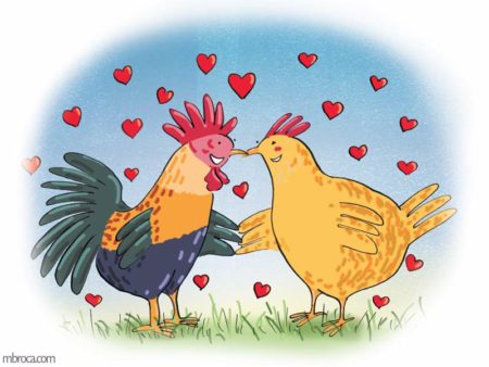 un coq et une poule qui se tiennent pal une aile et entourés de coeurs